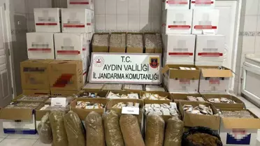 Aydın'da kaçak sigara operasyonu: 212 bin 500 adet tütün ele geçirildi