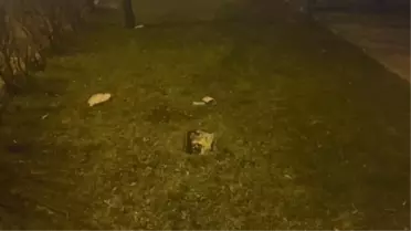 Esenyurt'ta 3 çocuk annesi kadını bıçaklayarak öldüren sanığa müebbet hapis istendi