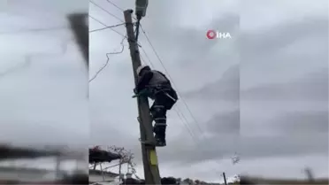 Adıyaman'da Mahsur Kalan Yavru Kedi Kurtarıldı