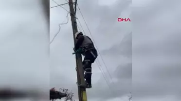 Adıyaman'da Elektrik Direğine Çıkan Yavru Kedi Kurtarıldı
