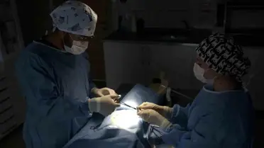 Akşehir'de Sahipsiz Hayvanlar İçin Yeni Merkez