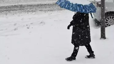 Erzurum ve Kars'ta kar etkili oluyor
