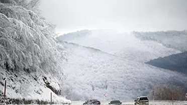 Istranca Ormanları'nda Kar Yağışı
