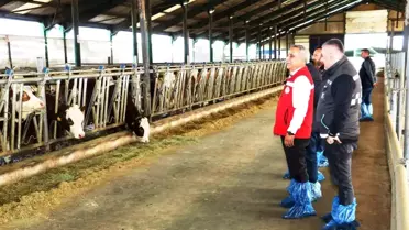 Samsun'da Avrupa Birliği'ne süt ihraç edilebilecek işletme sayısı 6'ya yükseldi