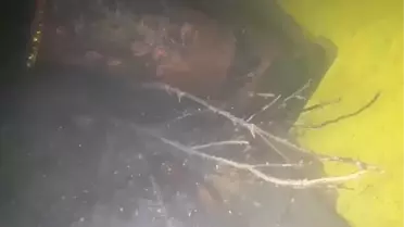 Zonguldak'ta batan geminin su altı görüntüleri ortaya çıktı