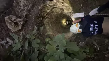 İzmir'de su kuyusuna düşen köpek kurtarıldı