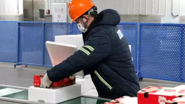 Çin'e Şili kirazı taşıyan gemi Guangzhou'ya ulaştı