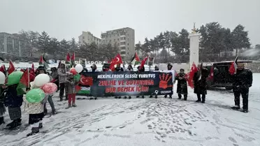 Erzurum ve Kars'ta doktorlar Gazze için 'sessiz yürüyüş' gerçekleştirdi