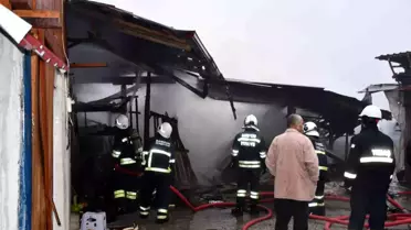 Samsun'da ahır yangınında 7 büyükbaş hayvan telef oldu