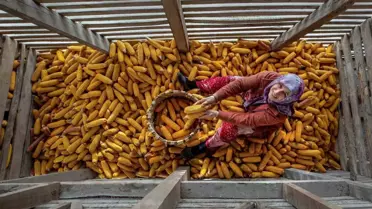 Akyazı'da '4 Mevsim Yaşam' Fotoğraf Yarışması Sonuçlandı