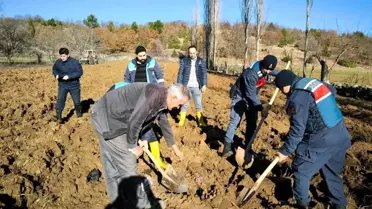 Kütahya'da Delice Ceviz Fidanlarıyla Demonstrasyon Bahçesi Kuruldu