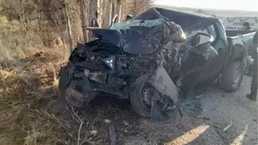 Sivas'ta kamyonet ağaca çarptı: 1 ölü