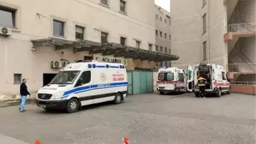Sakarya'da zincirleme trafik kazasında 10 kişi hayatını kaybetti