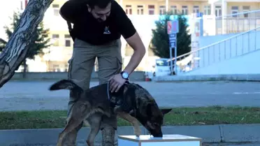 Bingöl İl Emniyet Müdürlüğü'nün Köpekleri Uyuşturucuya Geçit Vermiyor