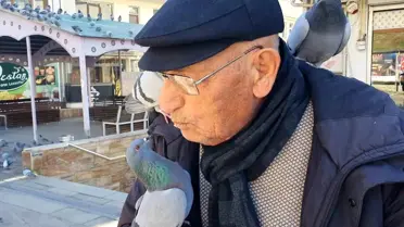85 Yaşındaki Kadir Ay, Güvercinlere Leblebi Veriyor