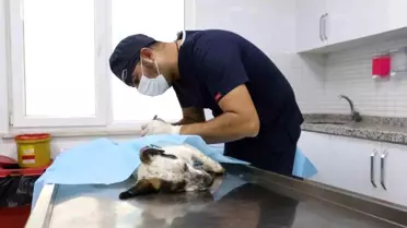 Burhaniye Belediyesi, 2023 yılında sağlık hizmetlerine devam ediyor