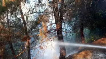 Hatay'ın Belen ilçesinde çıkan orman yangını söndürüldü