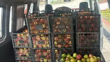 Elmacı Dede, Mehmetçiğe Destek İçin Elma Bağışladı