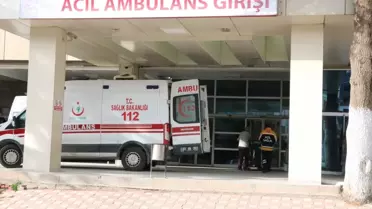 Afyonkarahisar'ın Sandıklı ilçesinde ağaç kesimi sırasında genç hayatını kaybetti