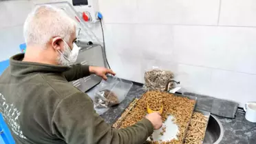 Esenyurt'ta Türkiye'nin en yüksek üretim kapasiteli mama üretim tesisi kuruldu