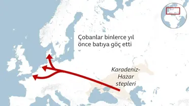 Avrupa'da Hastalıkların Yaygınlığı ve Boy Uzunluğu Arasındaki İlişkiyi Açıklayan DNA Keşfi