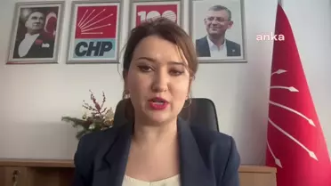 CHP, Anayasal Düzene Sahip Çıkmak İçin Tandoğan'da Buluşuyor