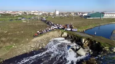 LÖSEV, Ergene Havzası'ndaki Kirliliğe Dikkat Çekmek İçin Etkinlik Düzenledi