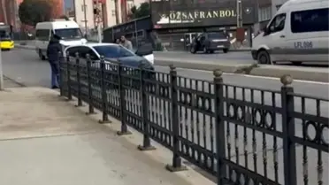 Pendik'te çift arasında çıkan kavgada çocuk kaçırma girişimi