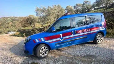 Aydın'da 100 Kilo Zeytinle Suçüstü Yakalanan 2 Şüpheli Jandarmanın Engeline Takıldı