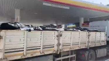 Hatay İskenderun'da tır kasasında cesetler taşındığı iddiasına yalanlama