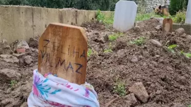 Babaannesinin Mezarının Başında Kaybolan Köpeği Buldu