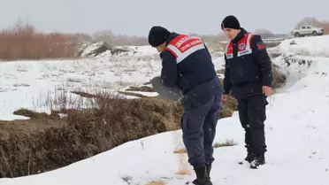 Ağrı'da Zorlu Kışta Yaban Hayvanlarına Yemleme Çalışması