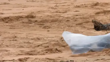 Alanya'da belden yukarısı olmayan çocuk cesedi bulundu