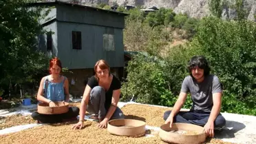 Erzincan'da çiftlikte çalışarak bedava tatil fırsatı