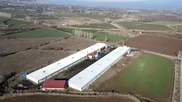 Erzincan'da Tavuk Çiftliği Kapasitesi Arttı