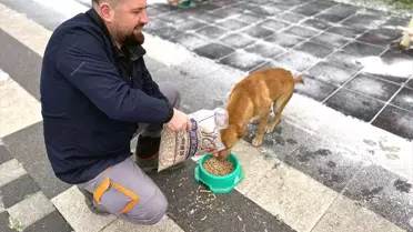 Çorlu Belediyesi Atık Gıdalardan Mama Üretiyor