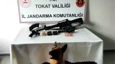 Tokat'ta Uyuşturucu ve Silah Operasyonu: 7 Şüphelinin Evlerinde Ele Geçirildi