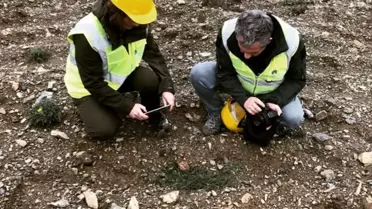 Kastamonu Hanönü'nde 35 Endemik Tür Tespit Edildi
