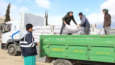 Antalya Büyükşehir Belediyesi, büyükbaş hayvan yetiştiricilerine yem desteği sağlıyor