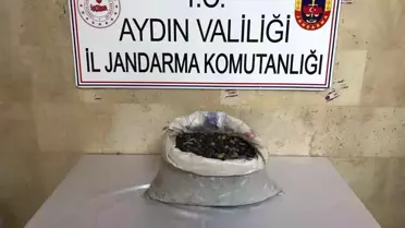 Aydın'ın Efeler ilçesinde 300 kilo zeytin çalan 4 şüpheli yakalandı