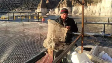 Yozgat'ta barajda alabalık üretimi arttı