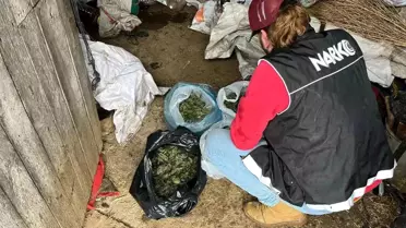 İzmir'de Uyuşturucu Ticareti Yapanlara Operasyon: 5 Kişi Tutuklandı