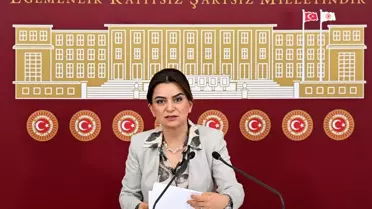 DEM Parti Grup Başkanvekili Gülüstan Kılıç Koçyiğit: Başak Demirtaş DEM Parti'nin aday adayıdır
