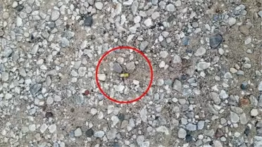 İyi Parti Eski İlçe Başkanı Silahlı Saldırıda Yaralandı