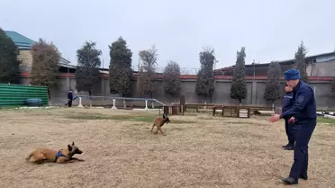 Özbek ekiplerin Kahramanmaraş depremi arama kurtarma çalışmaları