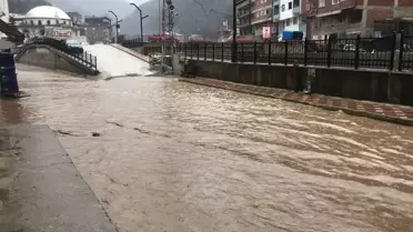 Artvin'de Kar ve Sağanak Yaşamı Olumsuz Etkiledi