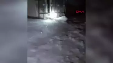 Van'ın Özalp ilçesinde çığ düştü, anne ve 2 çocuğu kurtuldu