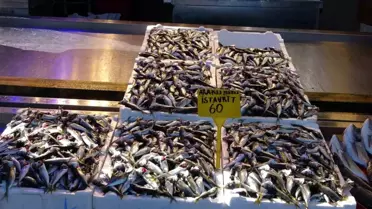 Karadeniz'de Hamsi Bolluğu Son Buldu