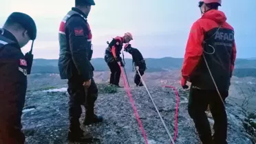 Karabük'ün Eflani ilçesinde mahsur kalan köpek AFAD ekiplerince kurtarıldı