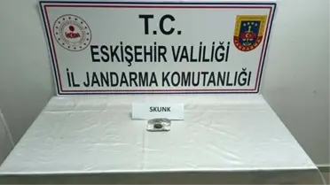 Eskişehir'de Uyuşturucu Operasyonu: 2 Şüpheli Yakalandı, 3 Gram Skunk Ele Geçirildi